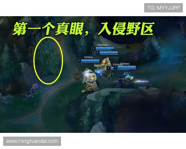 深入分析EDG战队的节奏打法与战术策略解析 深入分析EDG战队的节奏打法与战术策略解析