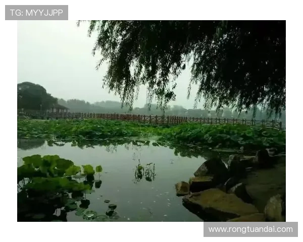 飞盘追梦：周秀英的运动人生与心灵对话之旅