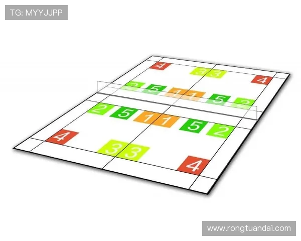 上海羽毛球队战术分析与未来发展方向探讨