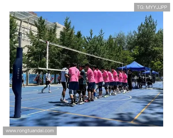 最新排球配合TOP10：北京排球队领跑